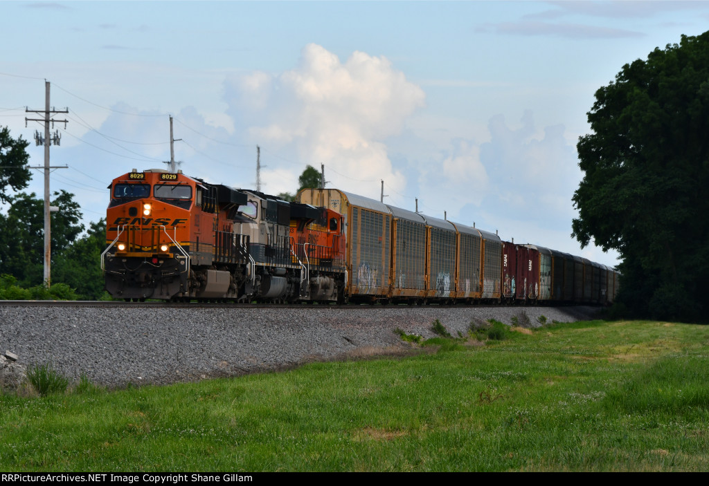 BNSF 8029